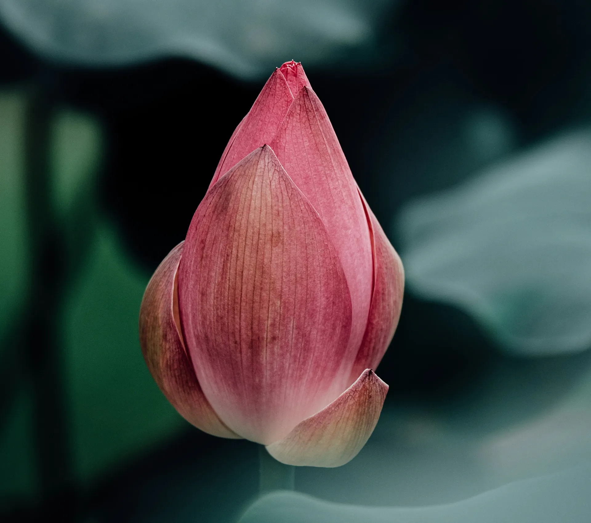 Правила и принципы