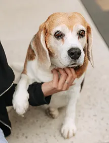 Наша история