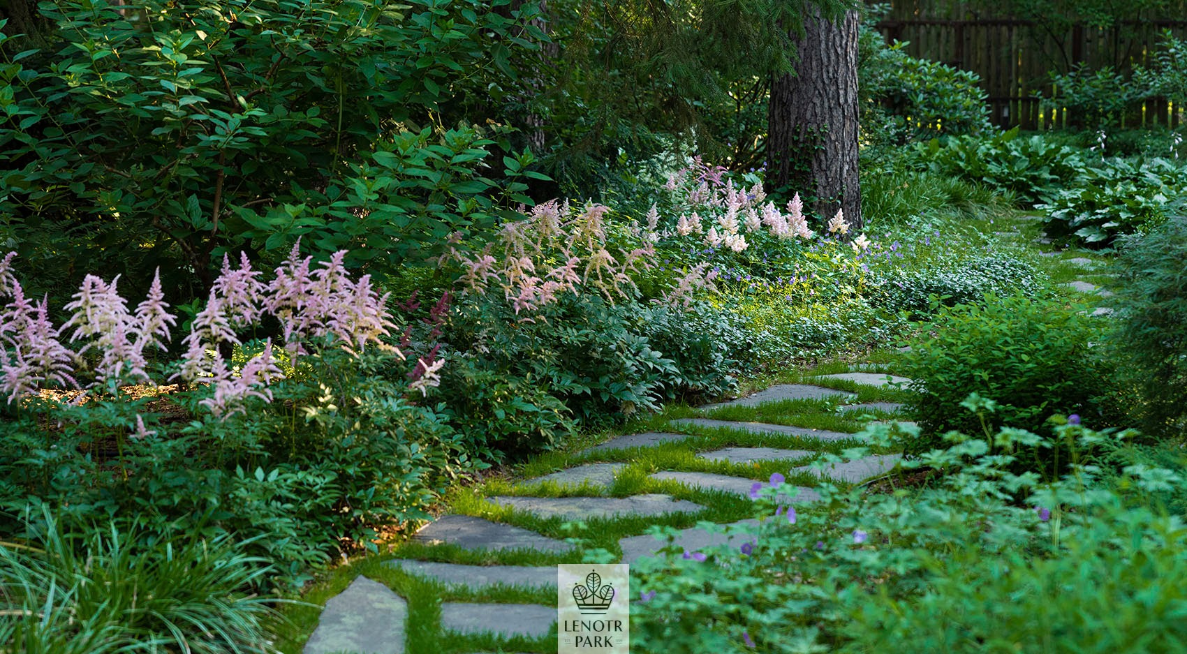 Заповедный бор