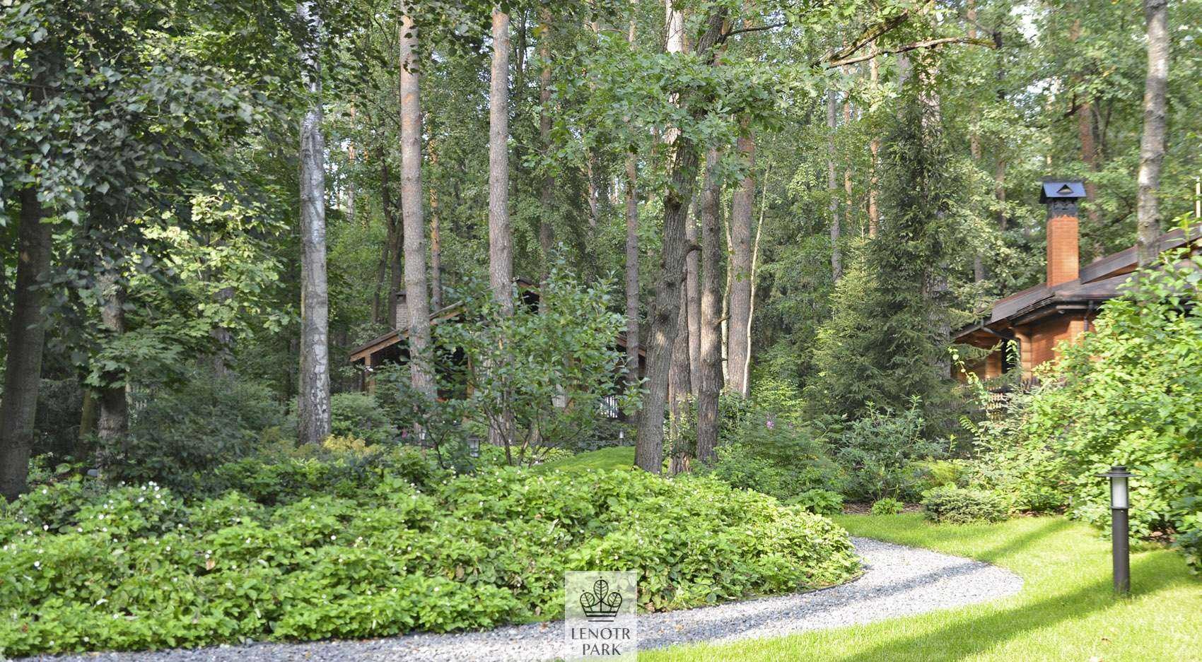 Заповедный бор