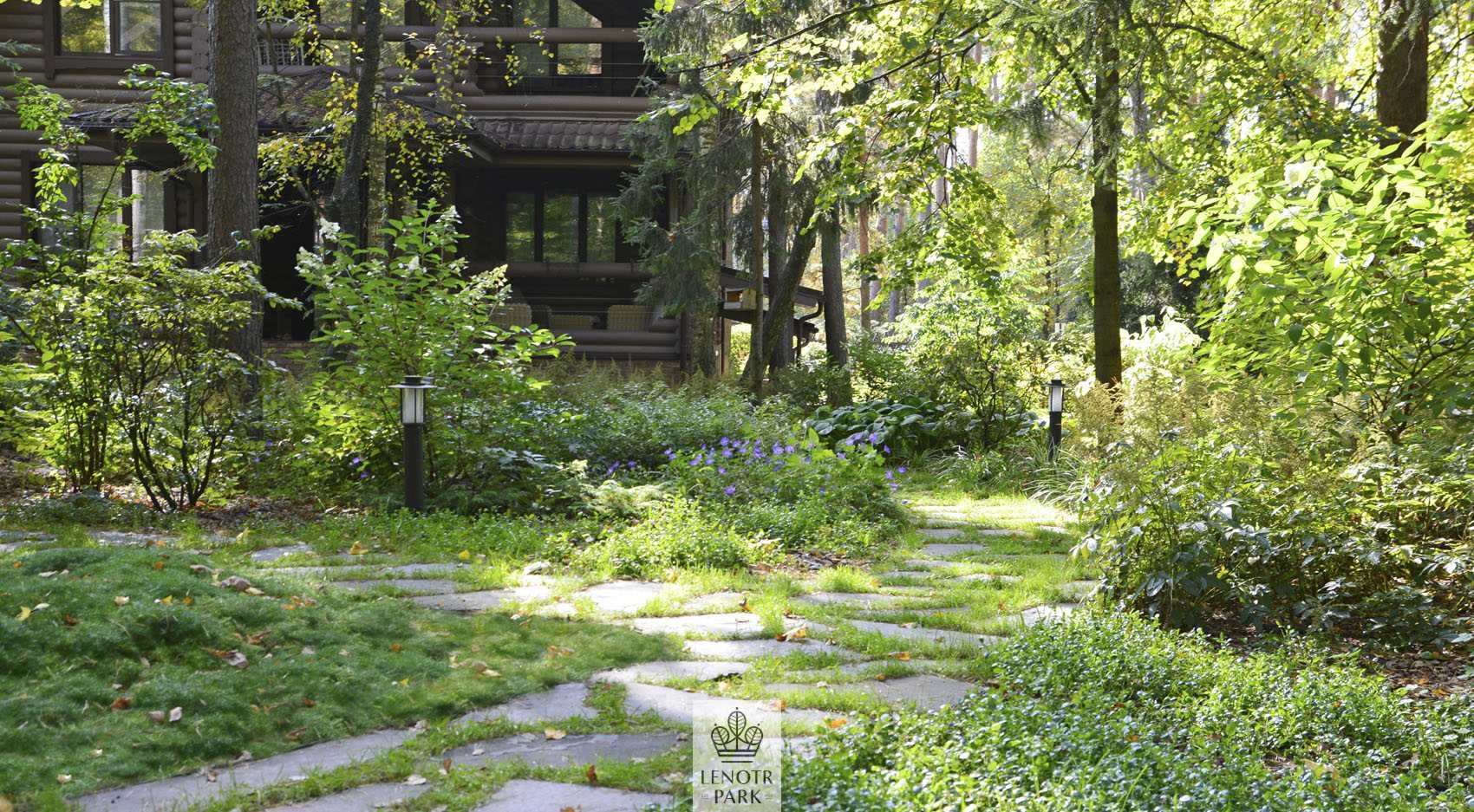 Заповедный бор