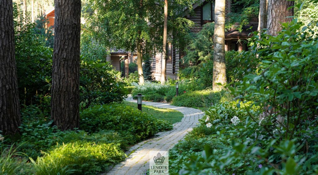 Заповедный бор