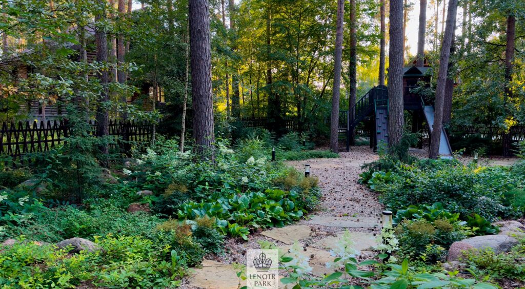 Заповедный бор 4