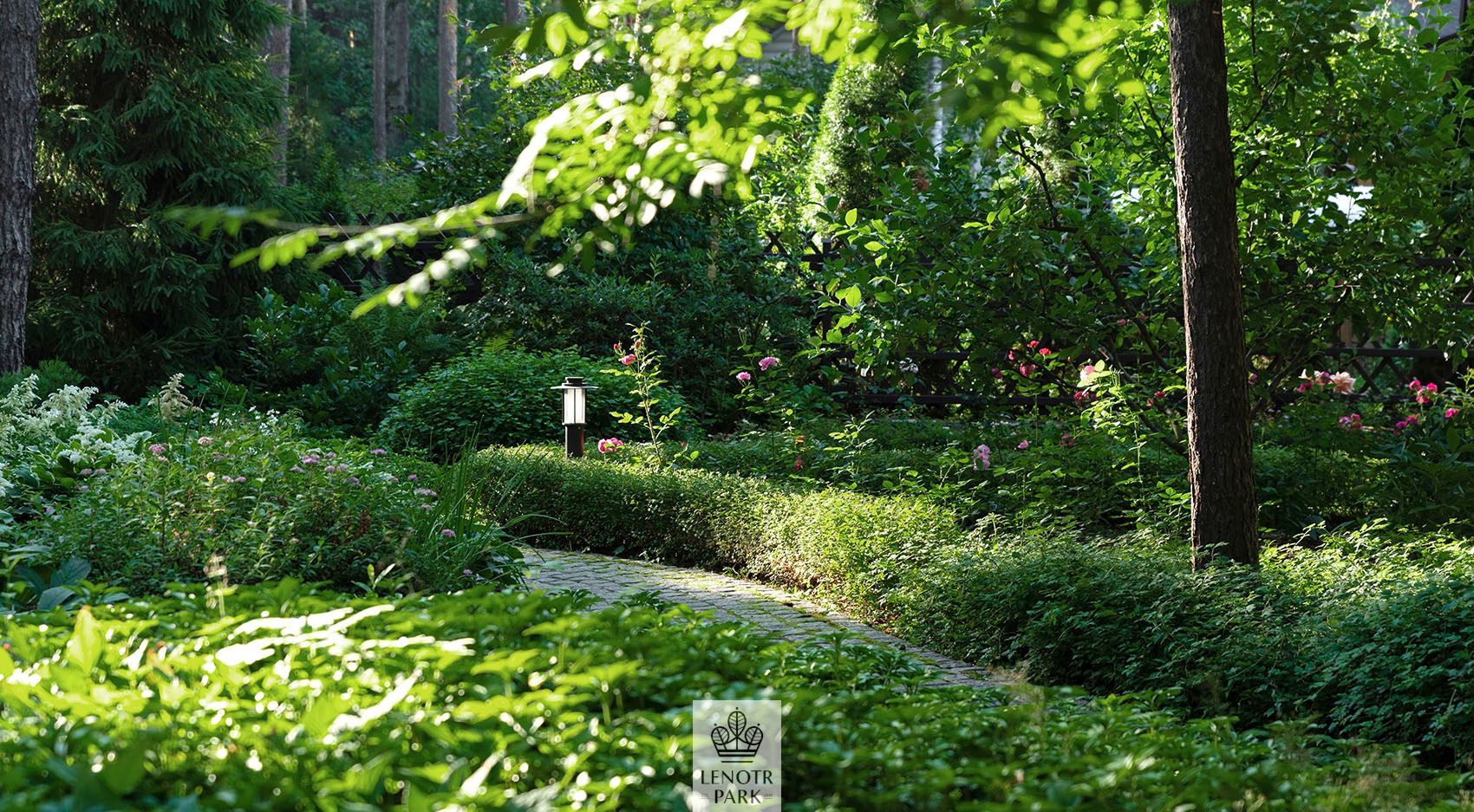 Заповедный бор