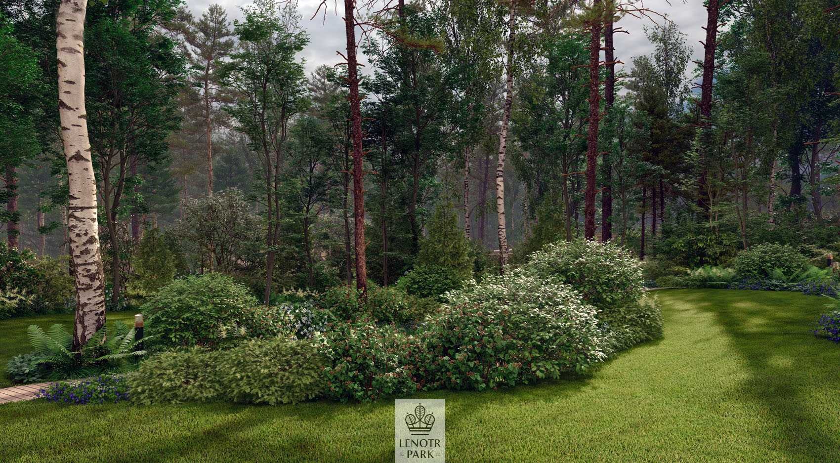 Лесной пейзаж