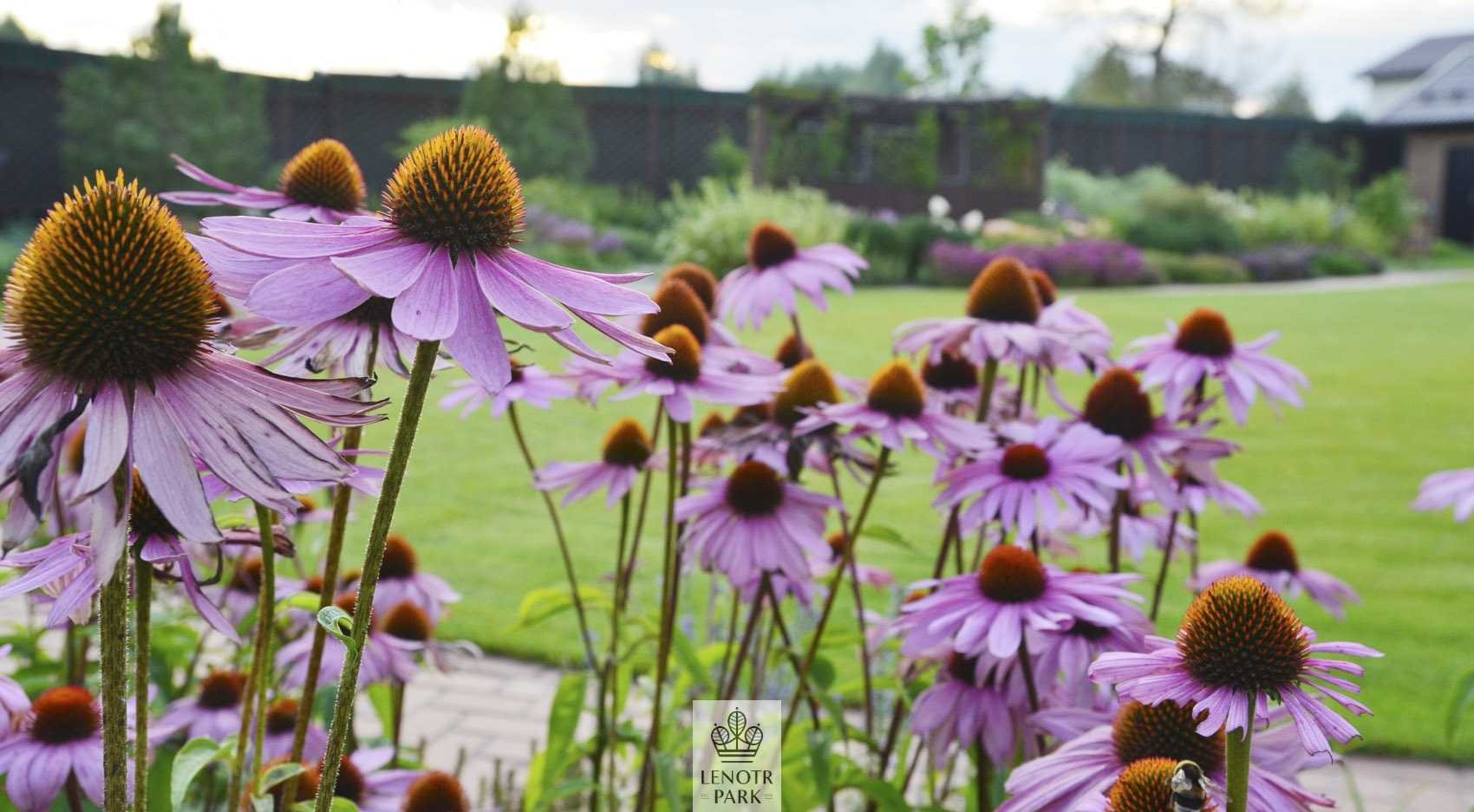 Эсквайр Парк