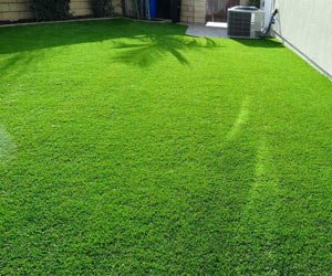 Водяные лилии