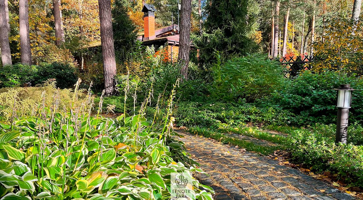 Озеленение и благоустройство территорий – последовательность работ