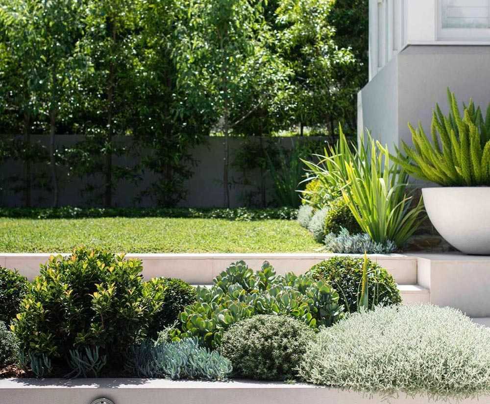 Роль озеленения