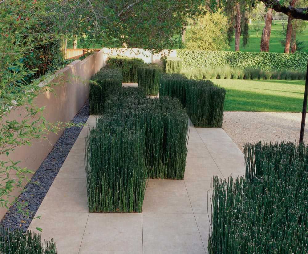 Роль озеленения