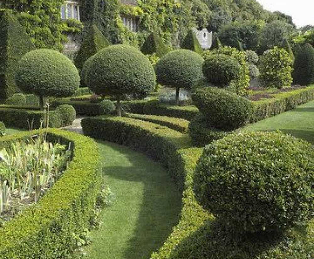 Роль озеленения