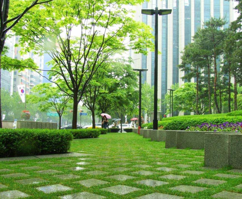 Роль озеленения