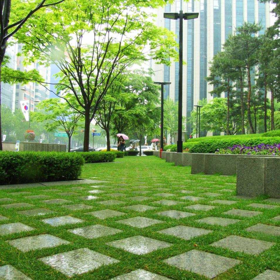 Роль озеленения