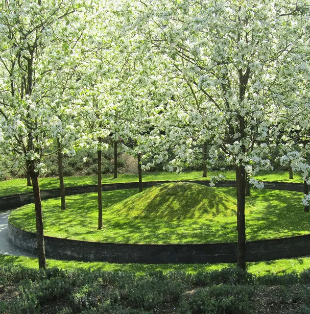 Галька для ландшафтного дизайна