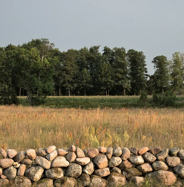 Галька для ландшафтного дизайна