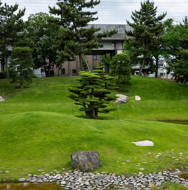 Галька для ландшафтного дизайна