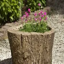 Галька для ландшафтного дизайна