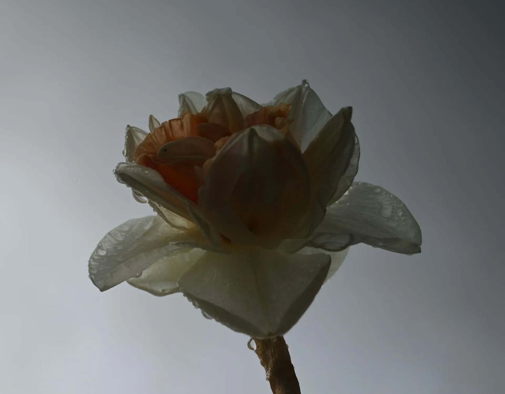 стоимость благоустройства