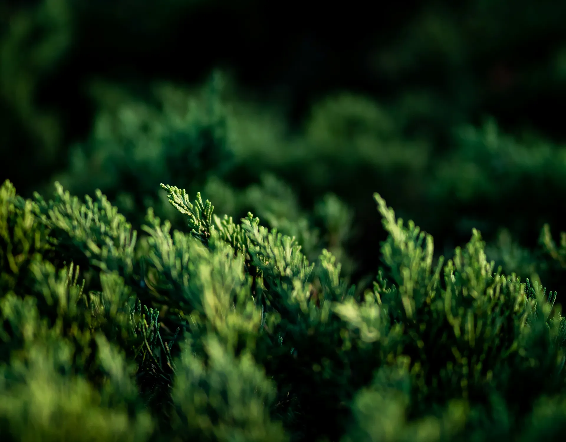 стоимость благоустройства