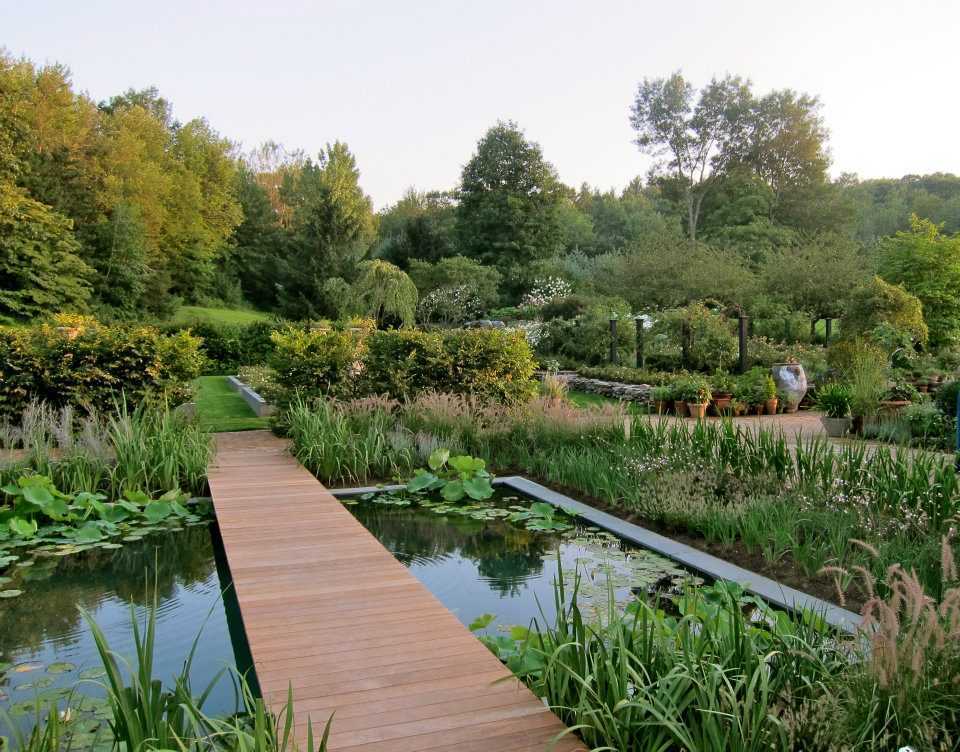 Пруд из бетона — практические советы