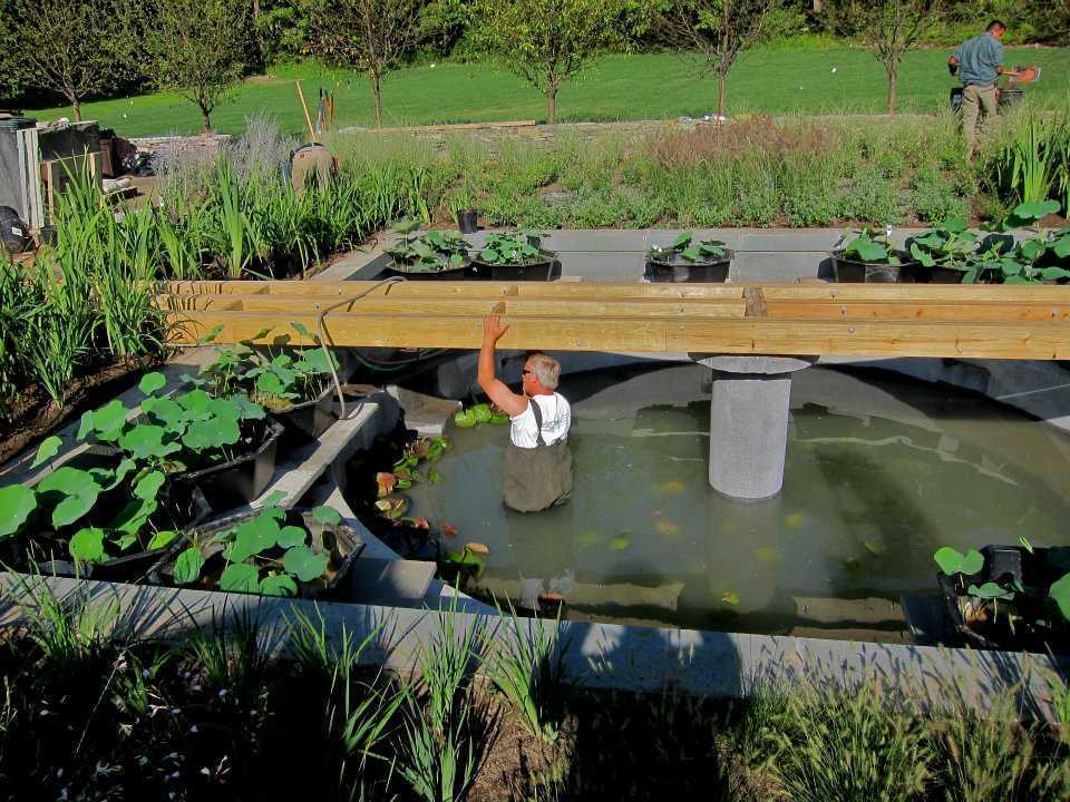 Пруд из бетона — практические советы