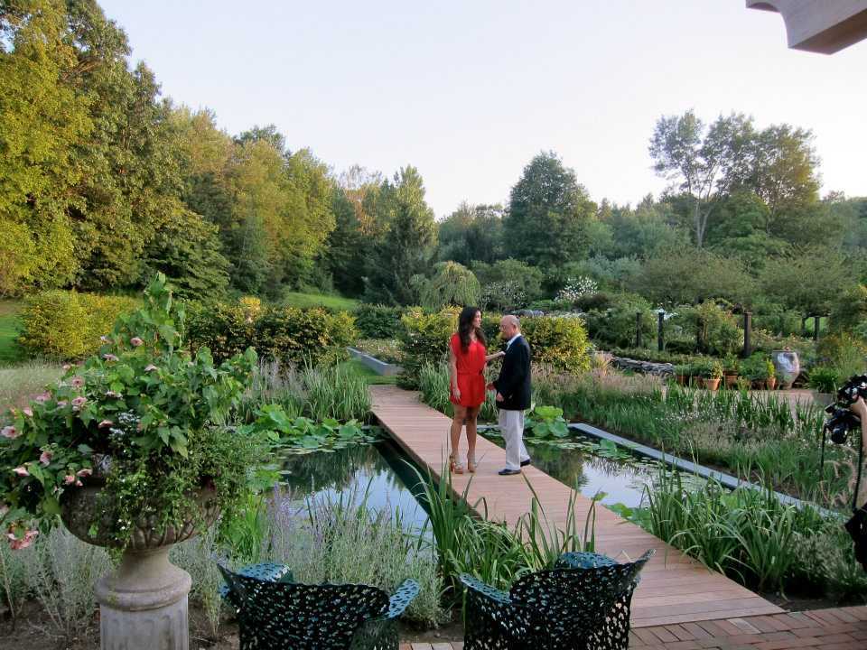 Пруд из бетона — практические советы