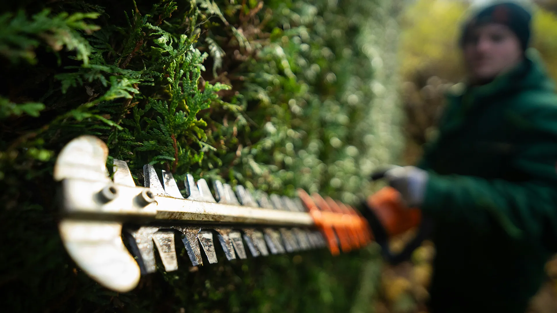 Ландшафтное проектирование