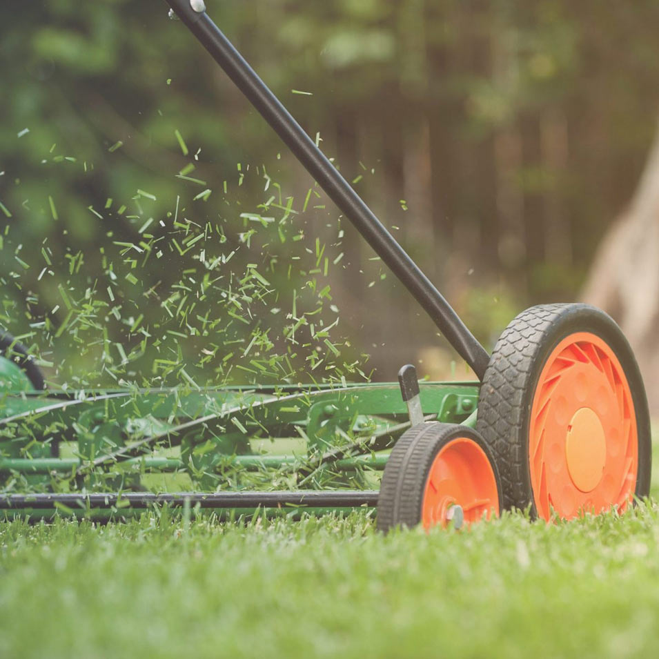 Календарь по уходу за газоном