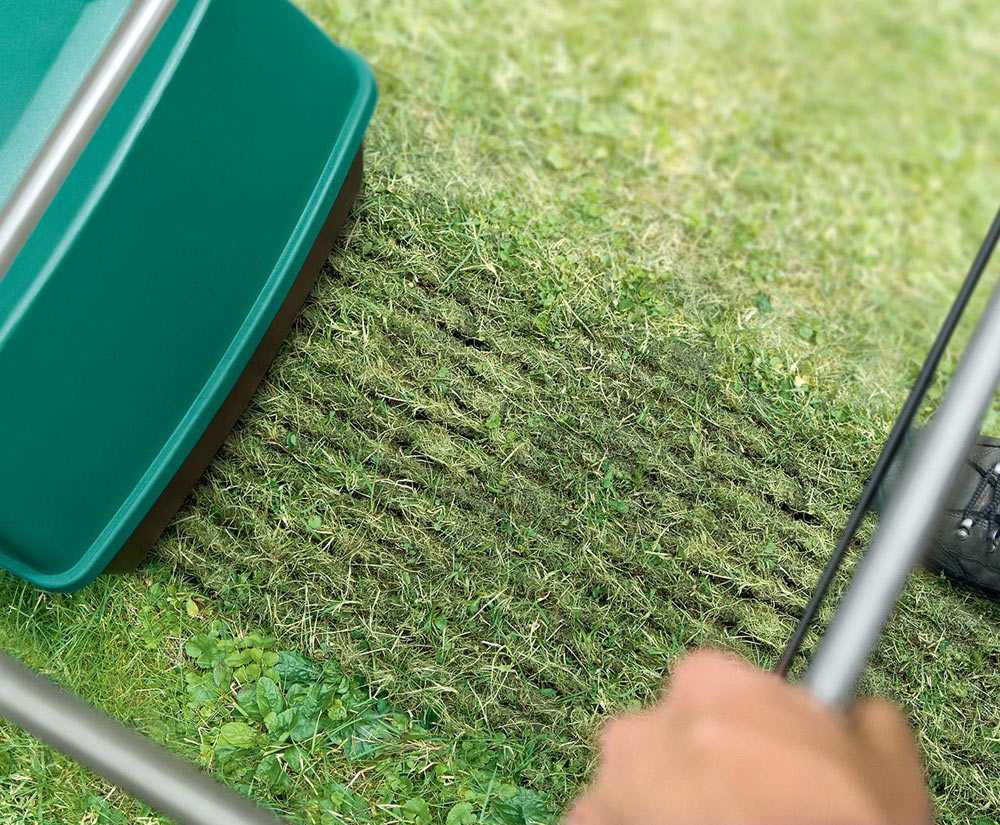 Календарь по уходу за газоном