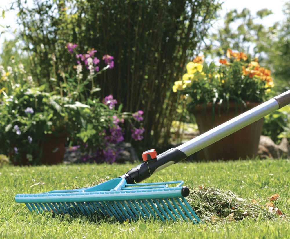 Календарь по уходу за газоном