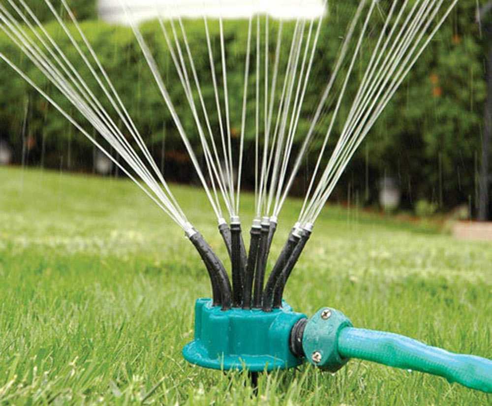 Календарь по уходу за газоном