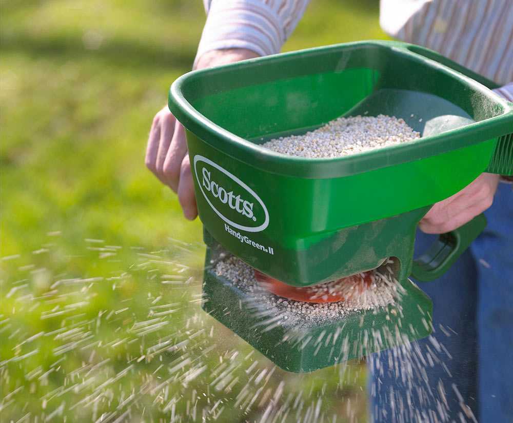 Календарь по уходу за газоном