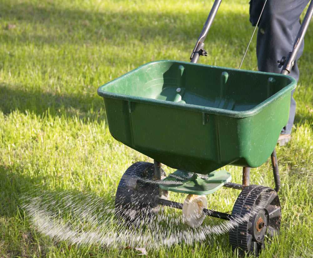 Календарь по уходу за газоном