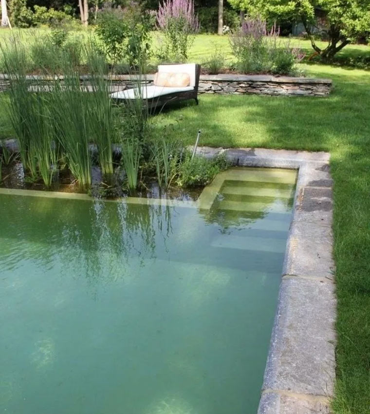 Пруд из бетона — практические советы