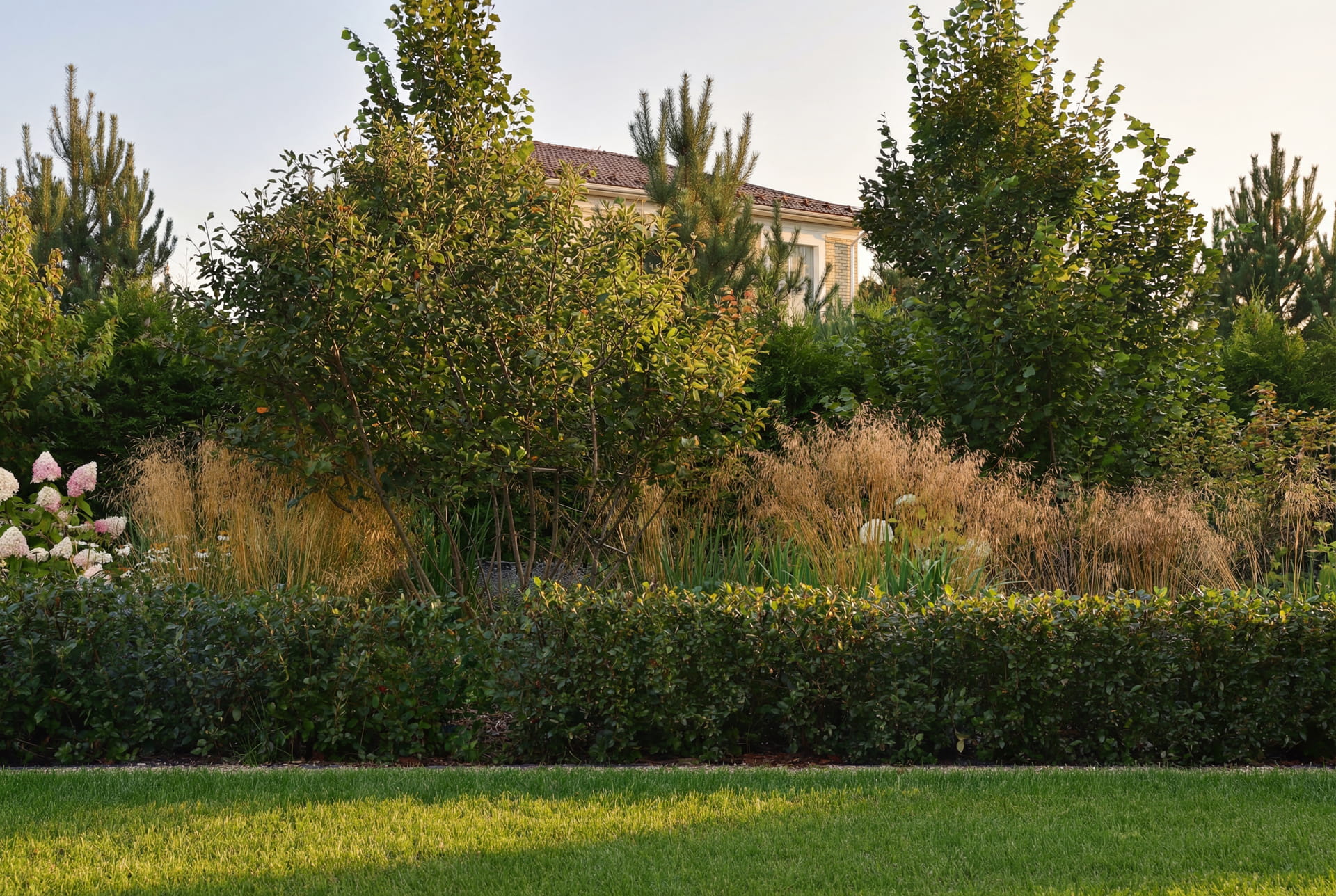 Эсквайр Парк 3