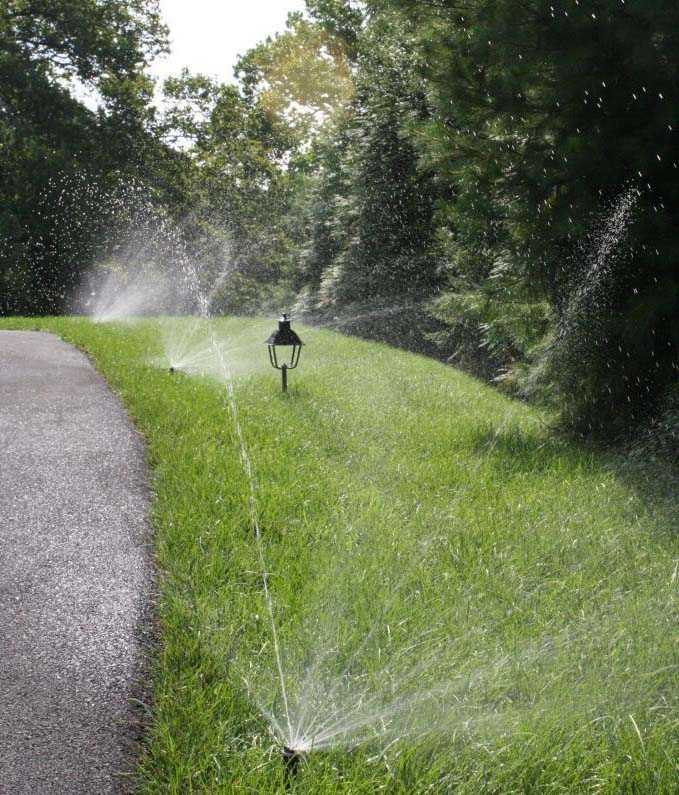 Благоустройство участка