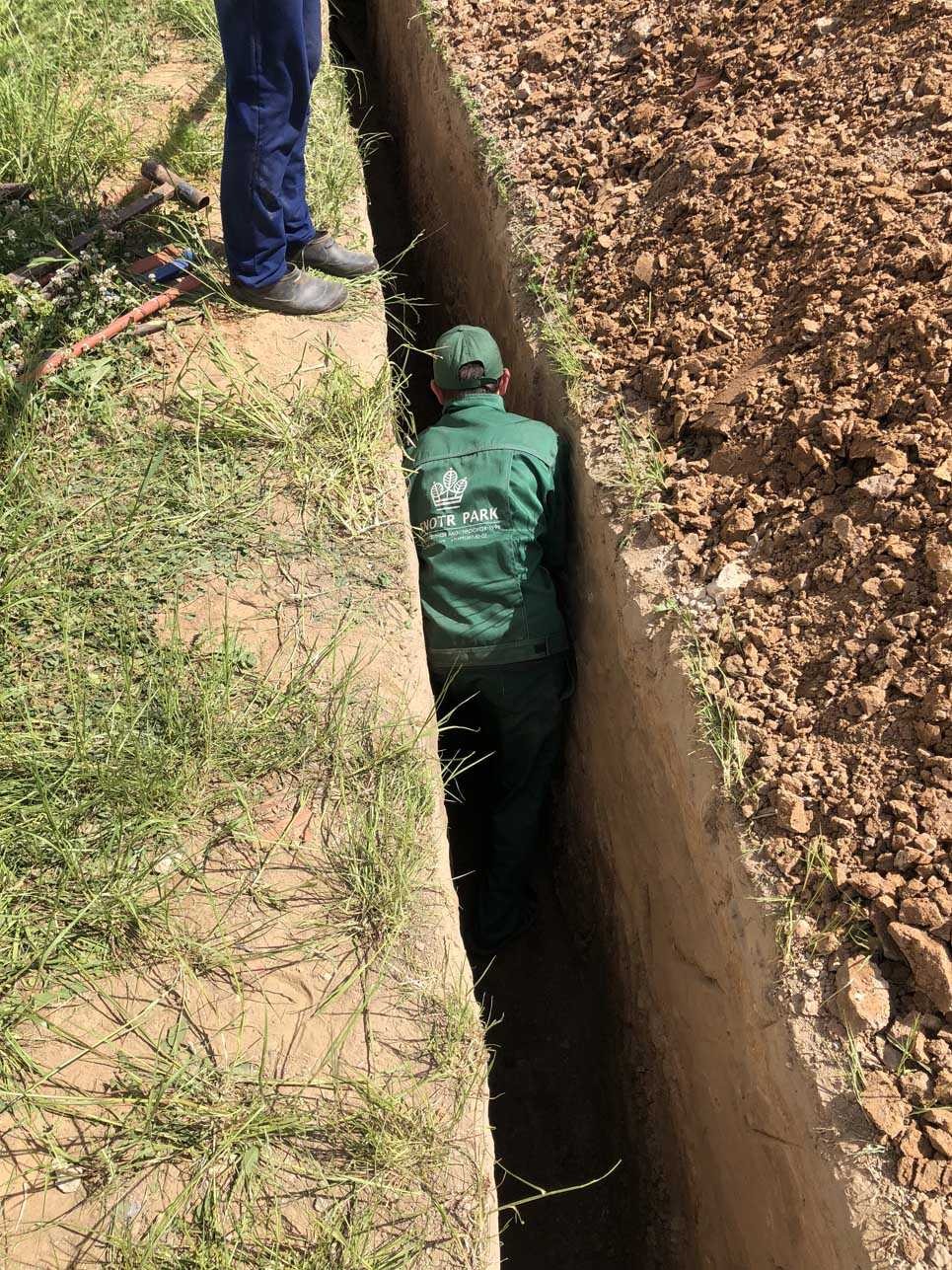 Благоустройство участка