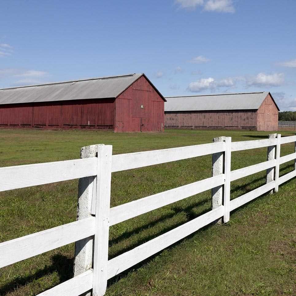 Благоустройство участка