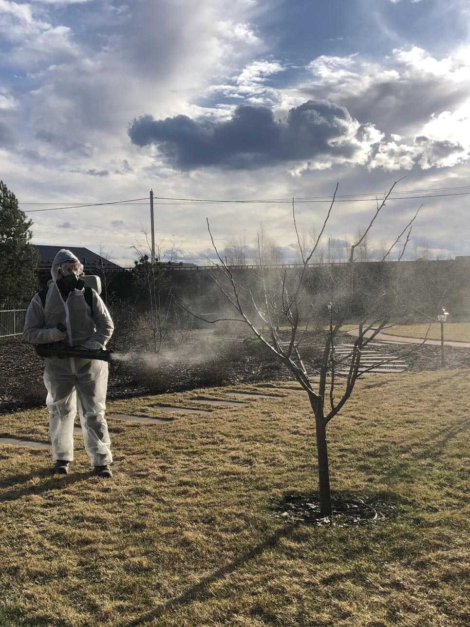 Благоустройство участка