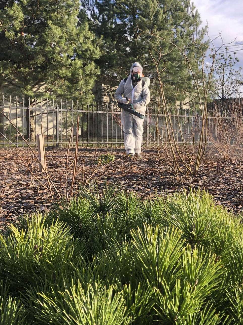 Благоустройство участка