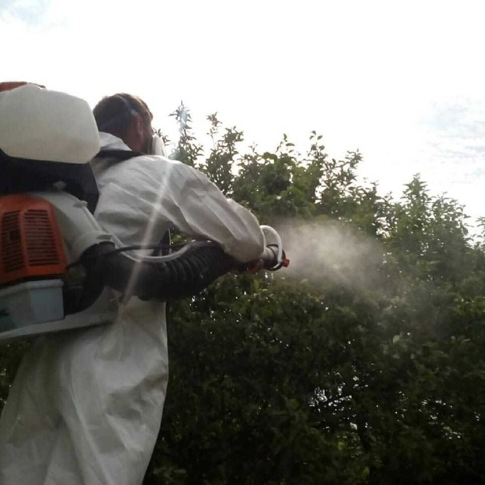 Благоустройство участка