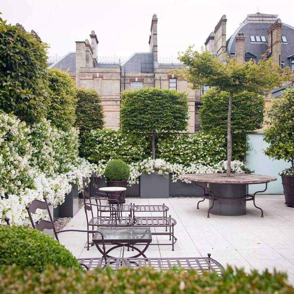 Благоустройство участка