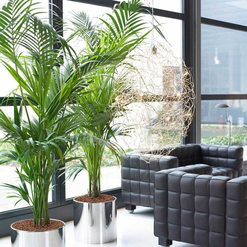 Благоустройство участка