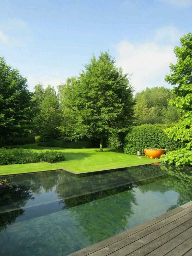 Благоустройство участка