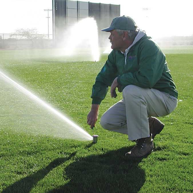 Благоустройство участка