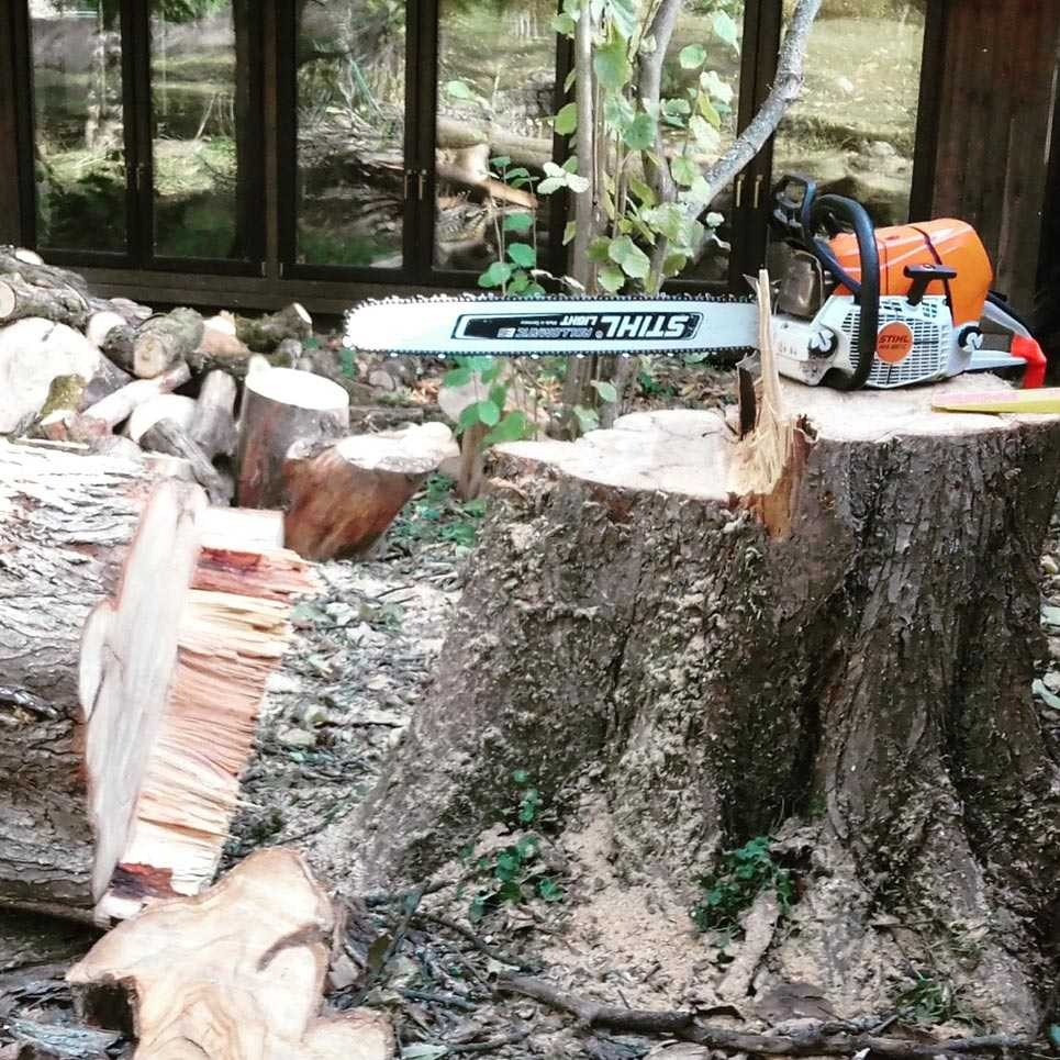 Благоустройство участка