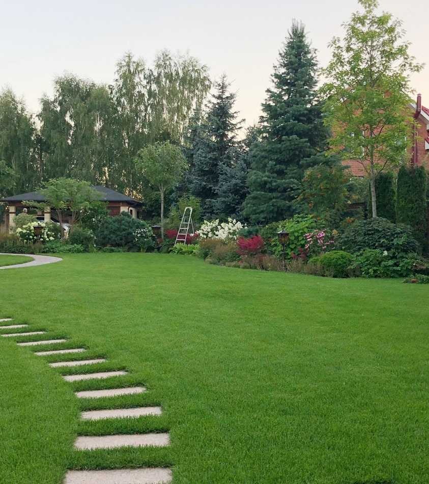 Благоустройство участка