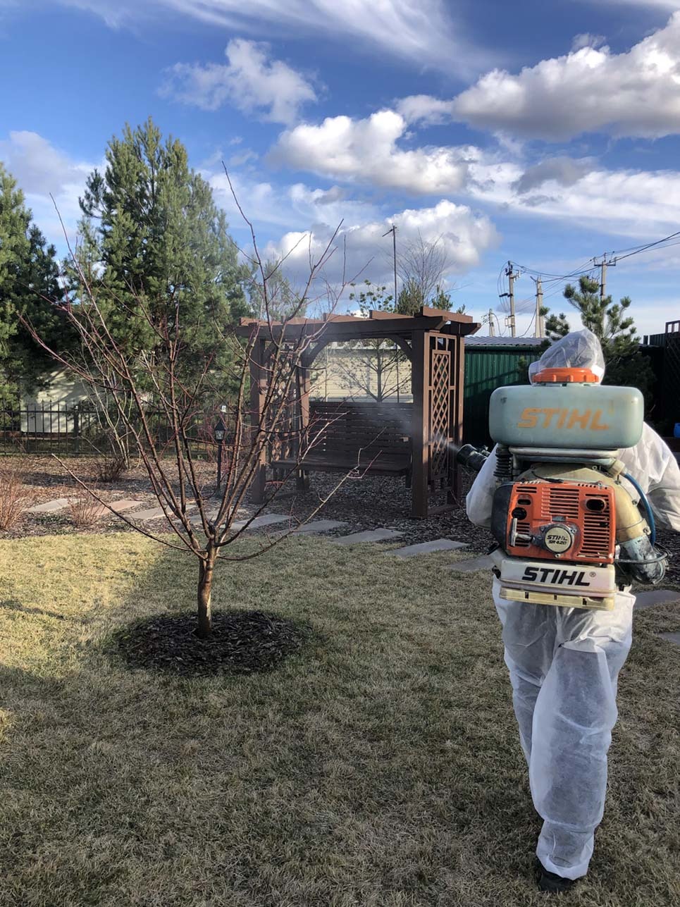 Благоустройство участка