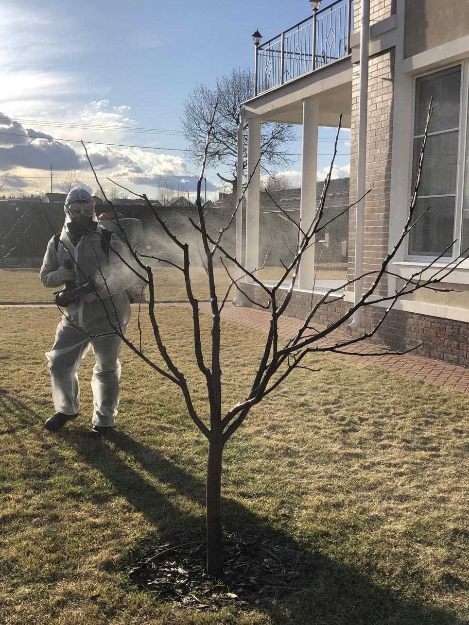 Благоустройство участка